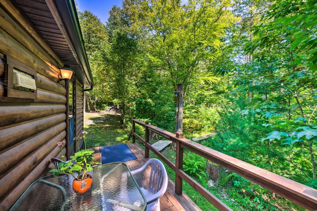Scenic Escape Swim, Fish, Hike! Holiday home Spring Mills